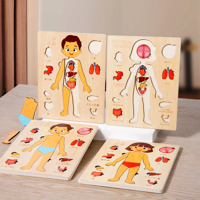 Montessori Corpo Cognitivo Board para Meninos e Meninas, Brinquedos Educativos para Crianças, Montessori Wooden Puzzle, Quebra-cabeças Multicamadas