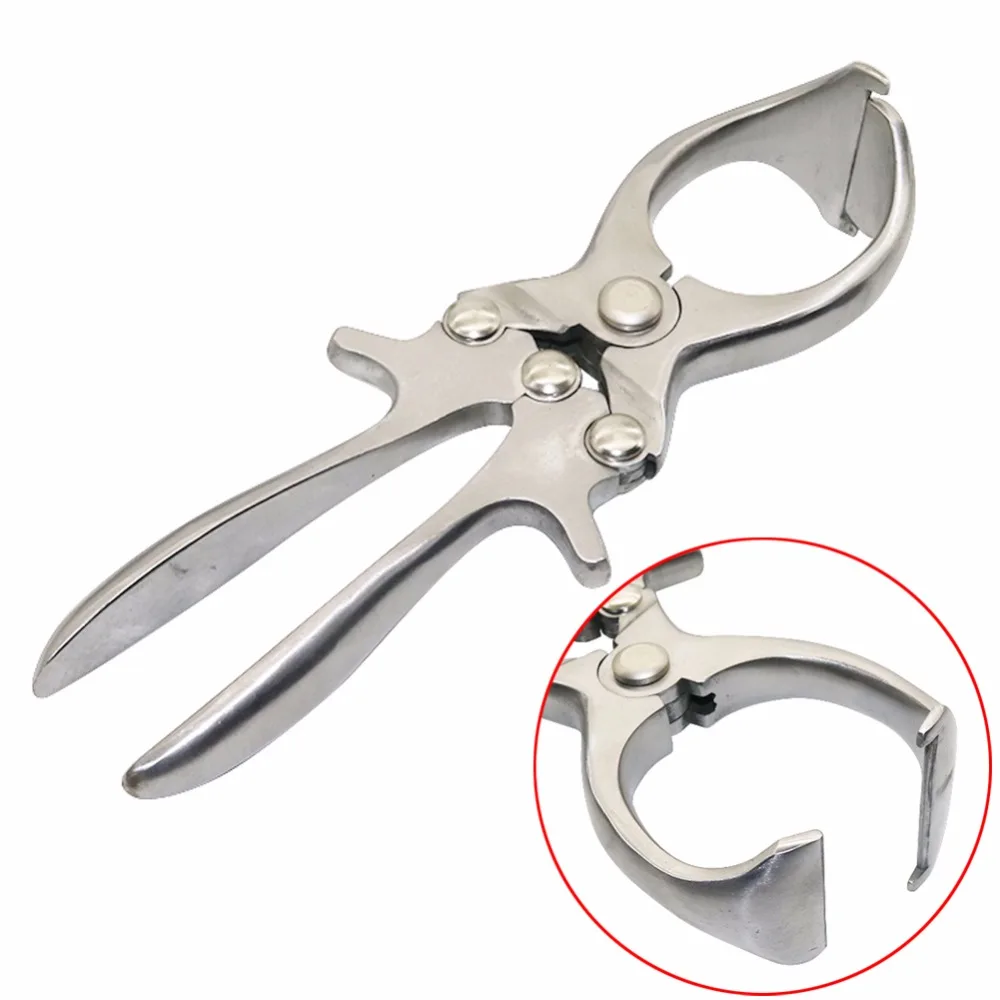 

1 Pcs Livestock Tools Stainless Steel Without Blood Pig Sheep castration Clamp Castration Tool Castration Forceps