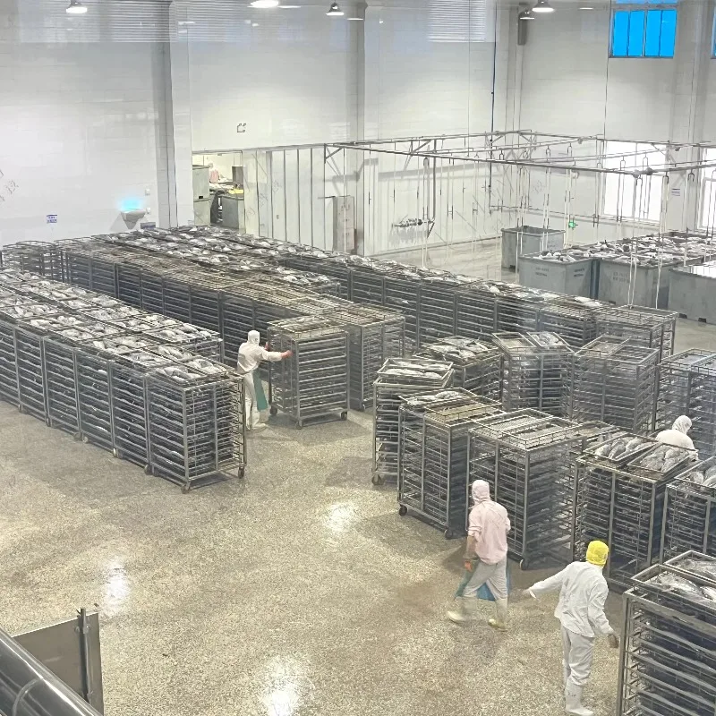 خط إنتاج معلب لأسماك التونة والسردين المصنوعة من الفولاذ المقاوم للصدأ بدرجة الطعام الأوتوماتيكية بالكامل، تحكم ذكي في درجة الحرارة