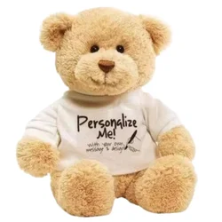Teddy Bear DIY bear with white Blank Tshirt, 11