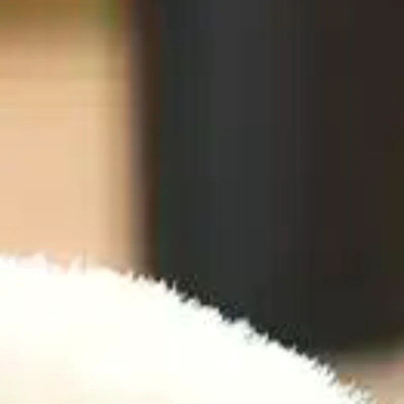 

Creative Stuffed Animal Doll Keychain Cute Cartoon Sea Otter Plush Doll Pendant Bag Charm Hanging Decoration Birthday Gifts