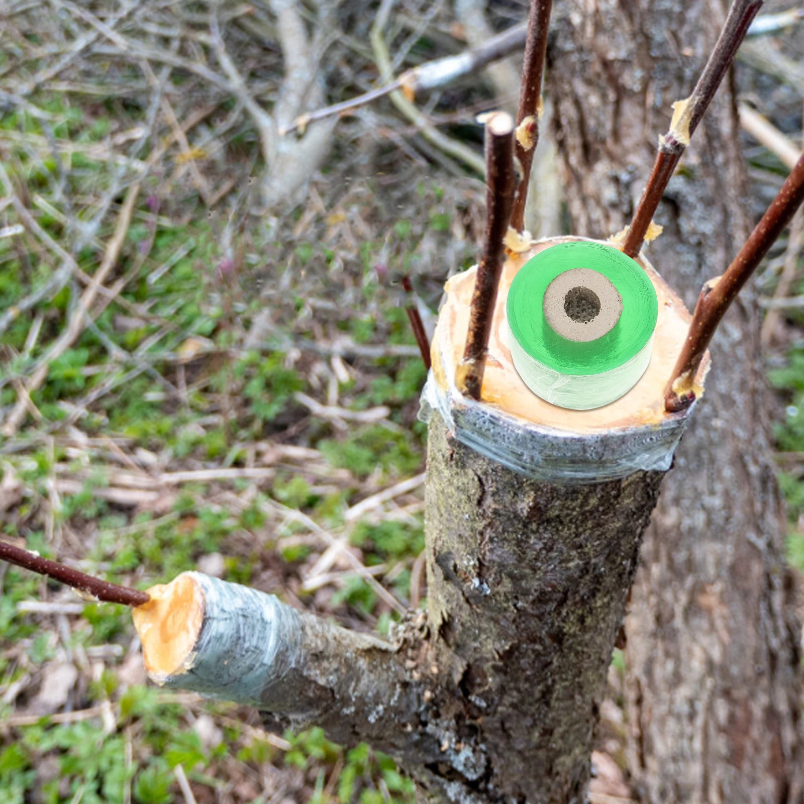 

4pcs Fruit Tree Grafting Film Self-Adhesive Stretchable Garden Tape For Plant Repair Nursery Tools Transparent Plastic
