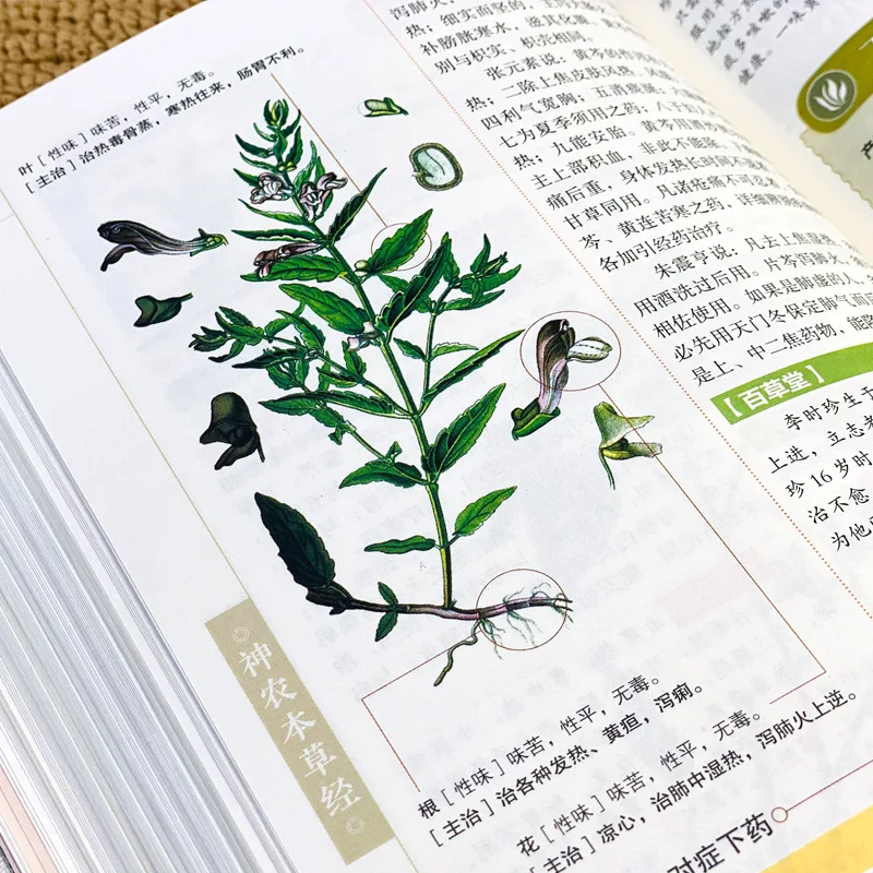 คลาสสิกการแพทย์แผนจีน: บทสรุปของ Materia Medica, Huangdi Neijing, Shennong Bencao Jing