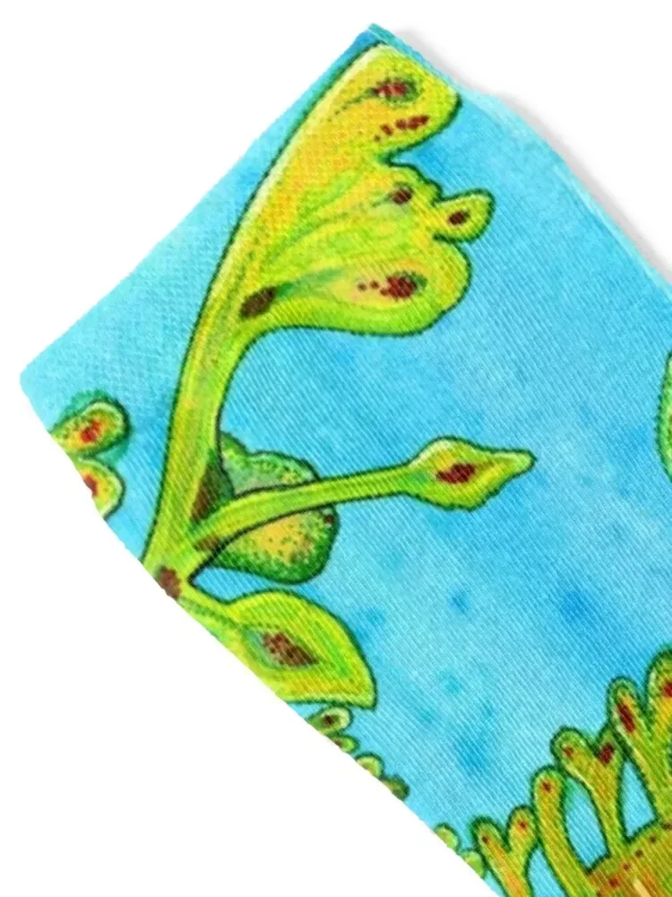 LEAFY SEA DRAGON Socks football Men's essential kawaii Men's Socks Luxury Women's