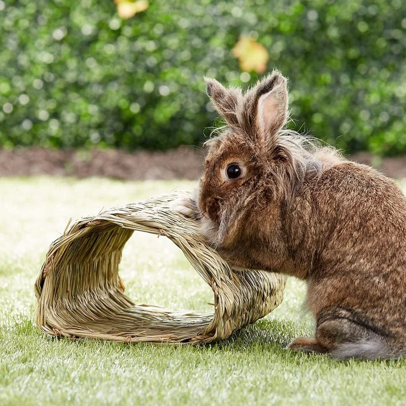 Woven Grass Tunnel, Secret Base For Training,Perfect For Hamsters, Guinea Pigs, Ferrets, Dwarf Rabbits