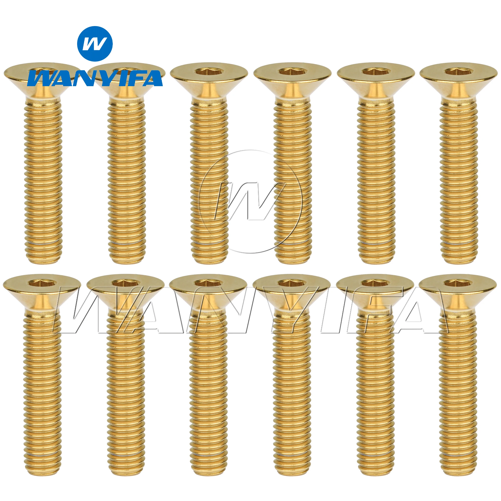 Wanyifa Titanium M4X 8 10 12 15 20 mm Hex Allen Socket Cap Head Bolt Screw for Bicycle Bike 5/12pcs