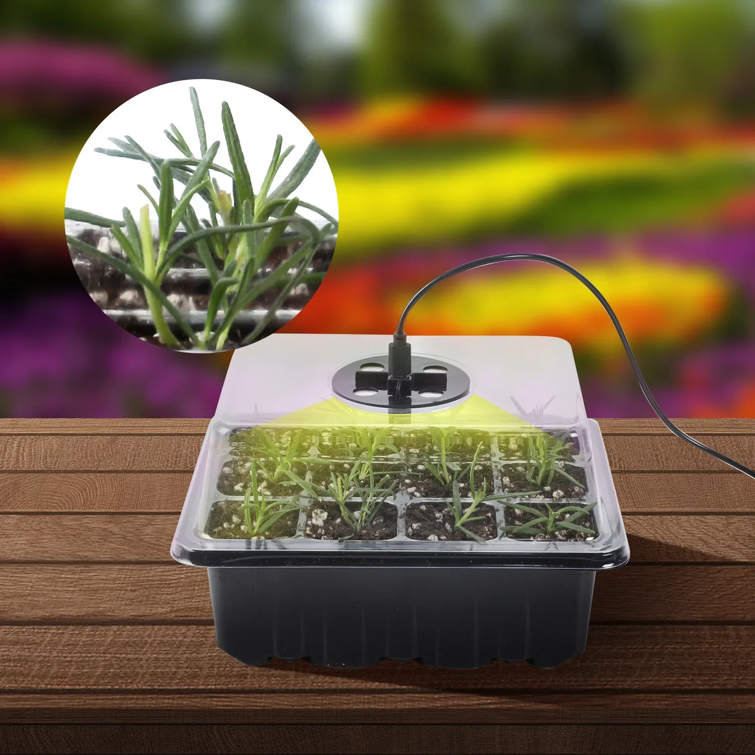 Macetas de vivero LED con luz de crecimiento, bandejas de inicio de semillas de plantas, lámpara de cultivo de invernadero doméstico con controlador de Kit de temporizador de 12 agujeros