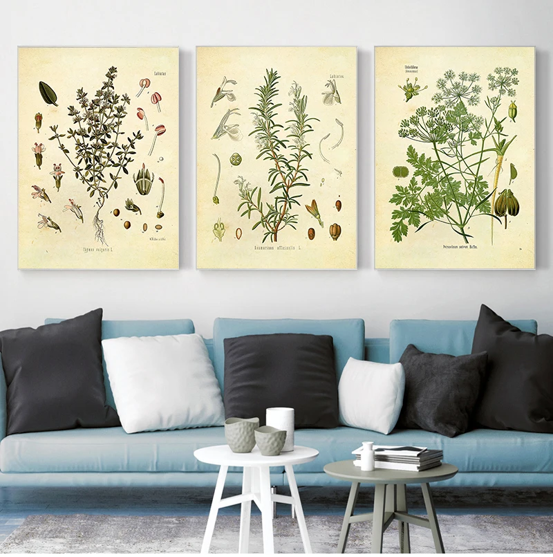 Póster Botánico Vintage con Impresión de Especias y Hierbas, Perejil, Salvia, Romero, Tomillo, Arte Culinario para Pared, Cuadro en Lienzo, Decoración de Cocina
