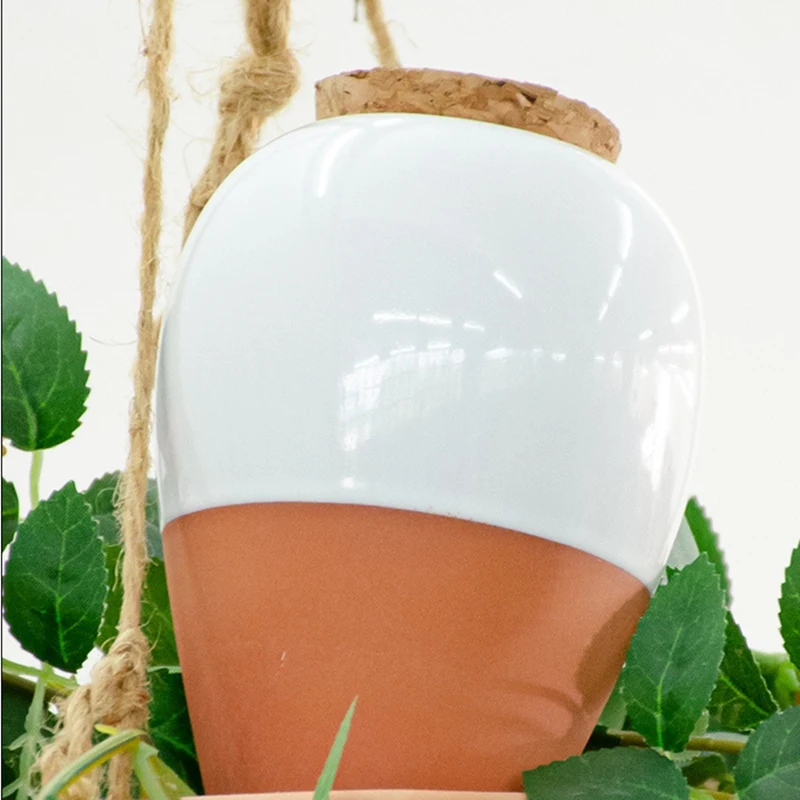 Bola regando planta de terracota, regando pode, liberação lenta, auto regando Spike, 16 onças, 4pcs