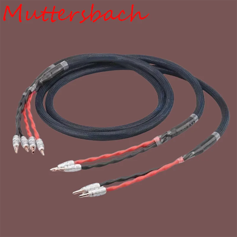 

Premium Bi-Wire Shielded Silver-Plated 4N OFC Speaker Cable with Gold Y-Spade & Banana Plugs (Black, 1-5M)​