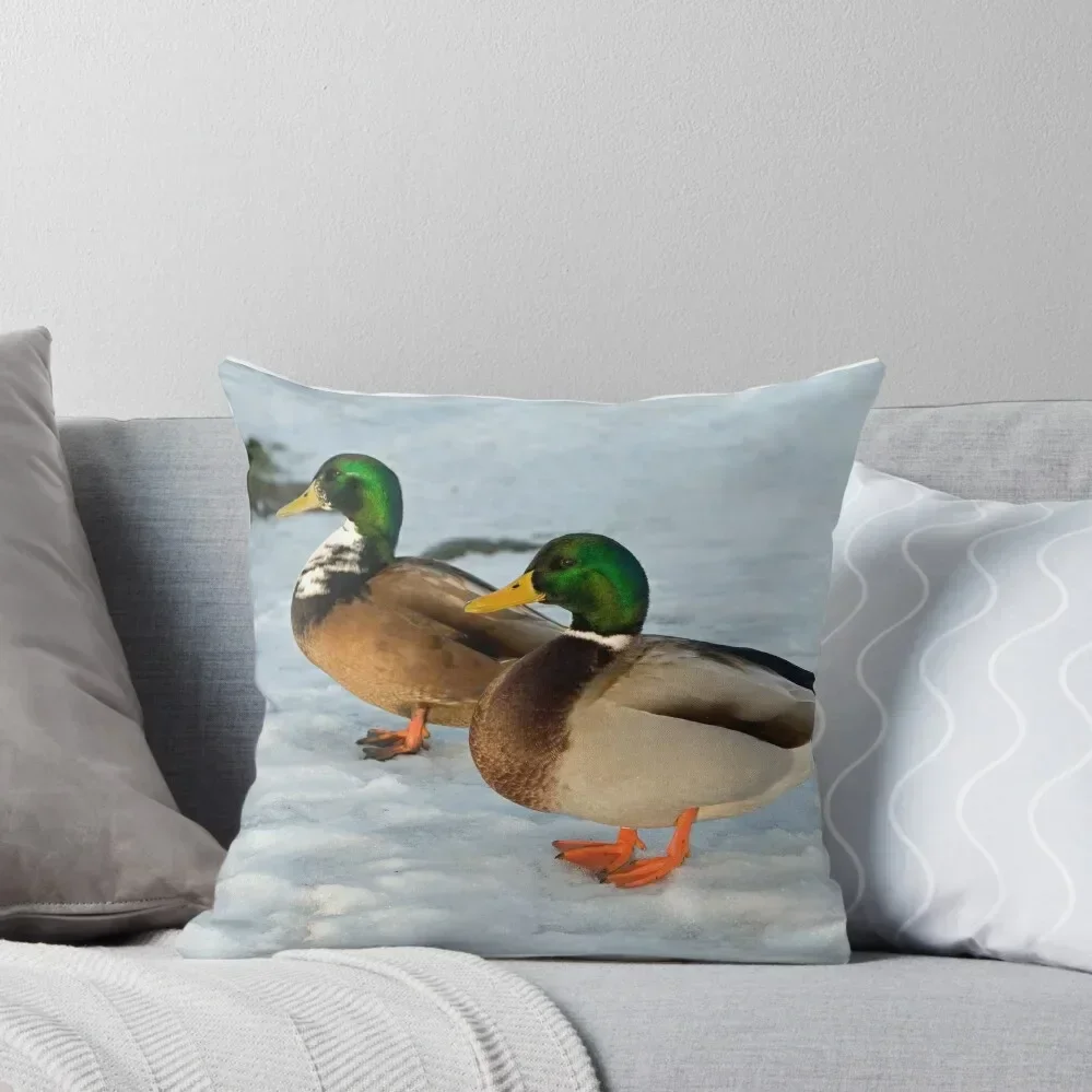 

Two Mallard Ducks in the Snow in the middle of winter Throw Pillow Decorative Sofa Cushions Decorative Cushions pillow