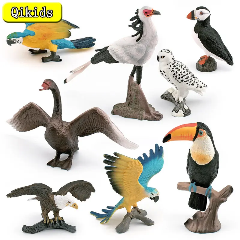 Simulated wildAnimal Toucan snow Owl whiteheaded Eagle Macaw grey Swan Seagull Snake eagle Birds model children'seducational toy