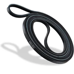 4400EL2001F Dryer Drum Belt Compatible With Kenmore GE LG 4400EL2001A 4400EL2001C 4400EL2001E AP5972814 PS11705916 EAP11705916