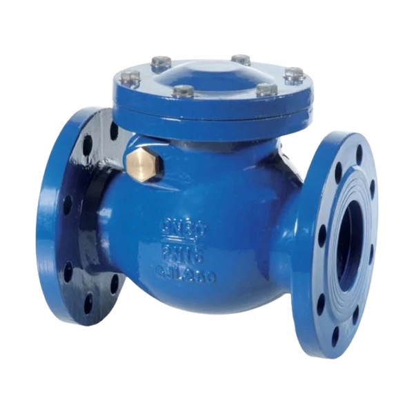 MSS SP-71 CLASS 125 صمام فحص أرجوحة من الحديد الزهر #4