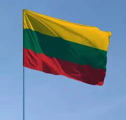 60X90CM 90X150CM Lithuanian Flags Polyester Hanging Lithuania Flag Banners Outdoor Indoor Big Flag