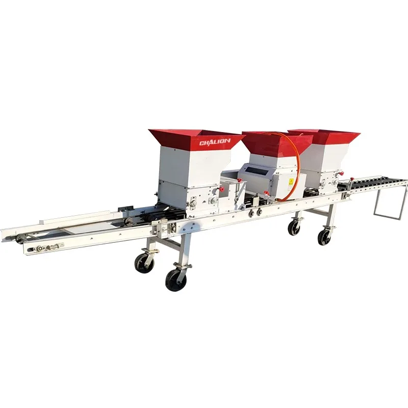Hot Sale Chalion Paddy Plant Machine Rice Seedling Tray Planting Machine Small Automatic Rice Planter Planting Machine Price