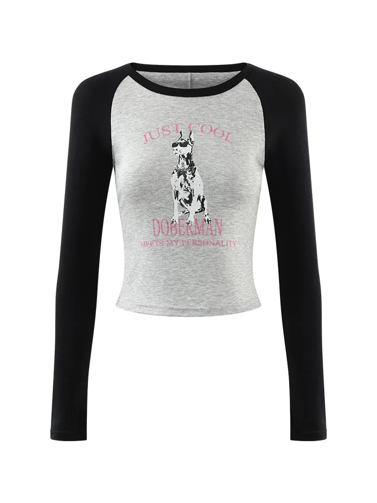 Colorblock Raglan Sleeve T-Shirt Women Fall Slim Fit Stretchy Lyocell Printed Top Casual Graphic Long Sleeve Tee Daily Outfits