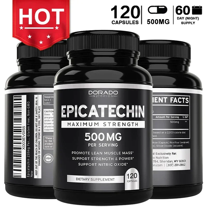 Epicatechin Capsules 500 Mg Per Serving - (120 Capsules) - Supports Lean Muscle, Nitric Oxide, Carnosine Inhibitors, Endurance