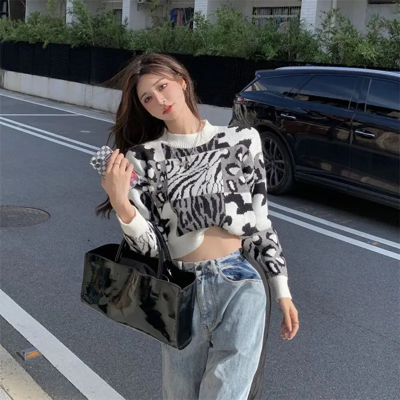 Women's Top Fall and Winter New Lazy Wind Knitted Sweater European Goods Thickened Foreign Leopard Print Loose Crew Neck Sweater