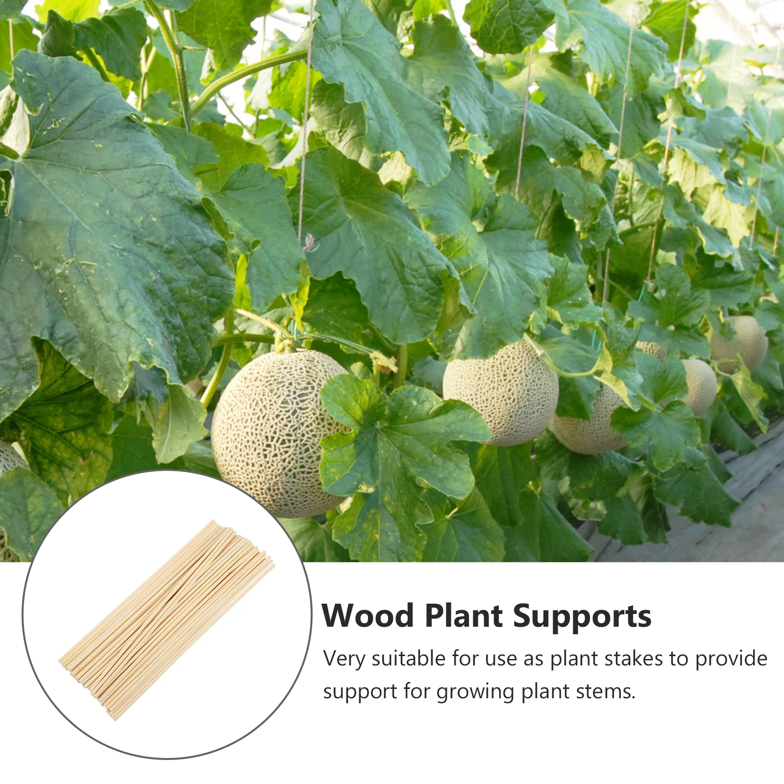 

200Pcs Reusable Bamboo Plant Stakes Eco-Friendly Garden Supports for Growing Stems Sticks for Florist DIY and Barbecue