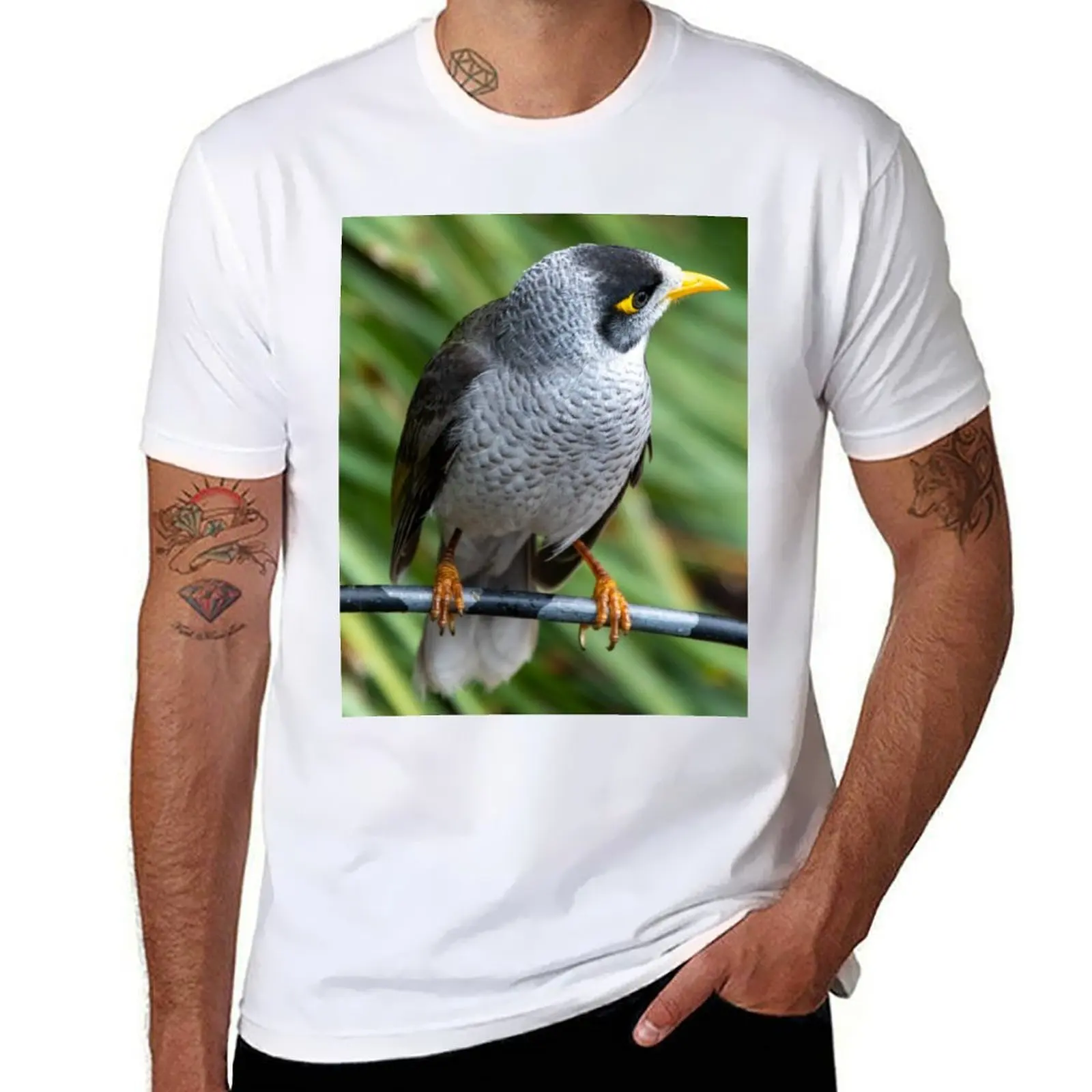 

Noisy Miner Australian Bird T-Shirt man t shirts high quality luxury brand man t shirt heavy cotton T-Shirt