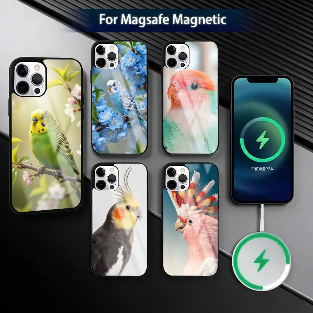 

Chubby Cockatiel Parrot Bird Phone Case For iPhone17,16,15,14,13,12,11 Plus,Pro Magnetic with Magsafe Wireless Charging