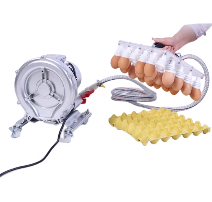 

Automatic Vacuum Egg Sucker in Egg Processing Line Commercial Egg Sucker Machine