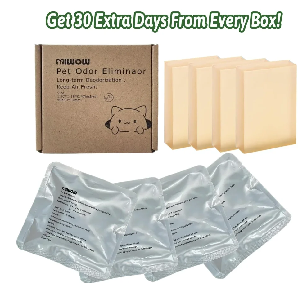 yZ[zybgLbg/~E/UBPET|LgCSC01/SC02pLL܌i - L{