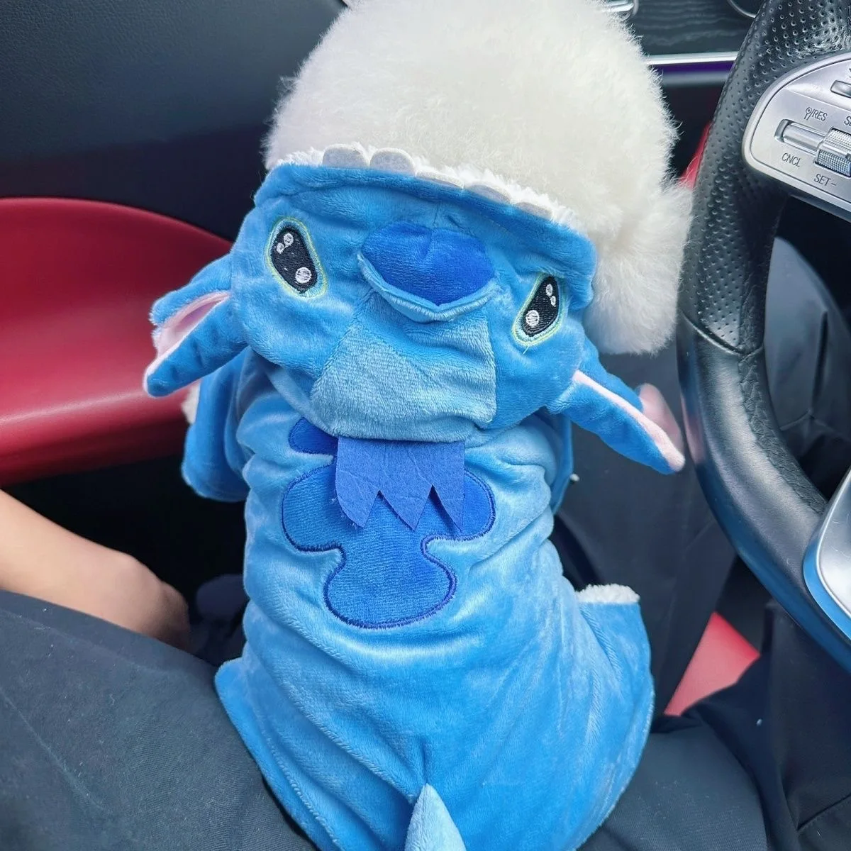 Anime Cartoon Leuke Lilo Stitch Huisdier Kostuum Kat Hond Transformeren Pluche Gevoerde Snap Jas Vierpotige Kleding Verrassingscadeau voor Fans