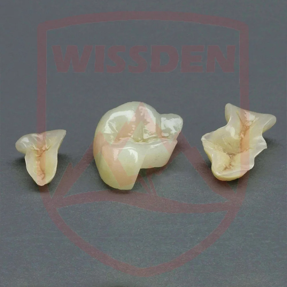 10 Pieces Wissden Dental Glass Ceramic Press Lithium Disilicate Ingots Dental Lab Materials