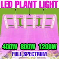 1200W Full Spectrum LED Grow Lights 220V Quantum Board Plant Lamp Greenhouse Hydroponic Vegs Flower Succulent Cultivate Lighting