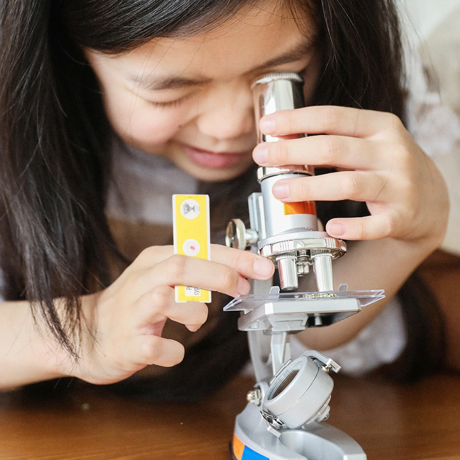 12Pcs Microscope Specimen Slides Prepared Plant Samples for Kids ABS Biological Collection Stereo Slide Plastic Safe Easy Use