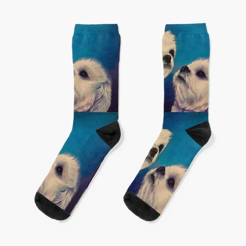 Two puppies Socks christmass gift designer Men's Socks Luxury Women's