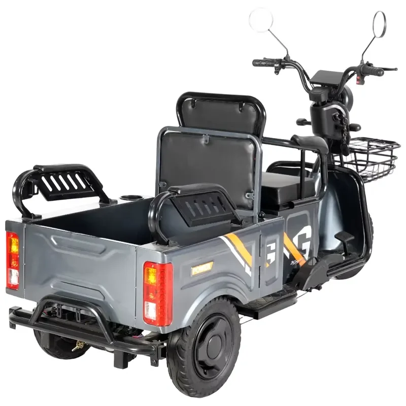 Paige 600W 800W 1000W Direct Factory Custom Cheap Adult Electric Cargo Tricycle Personal Closed Cabin Electric Motor Tricycle