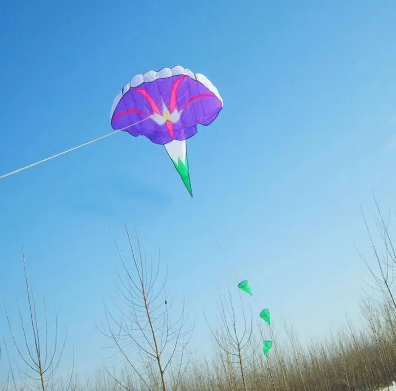 gratis verzending ochtendglorie zachte vliegeren speelgoed cerf volant volant volant vliegers voor kinderen kite surf vlieger weifang kite groothandel nieuwe