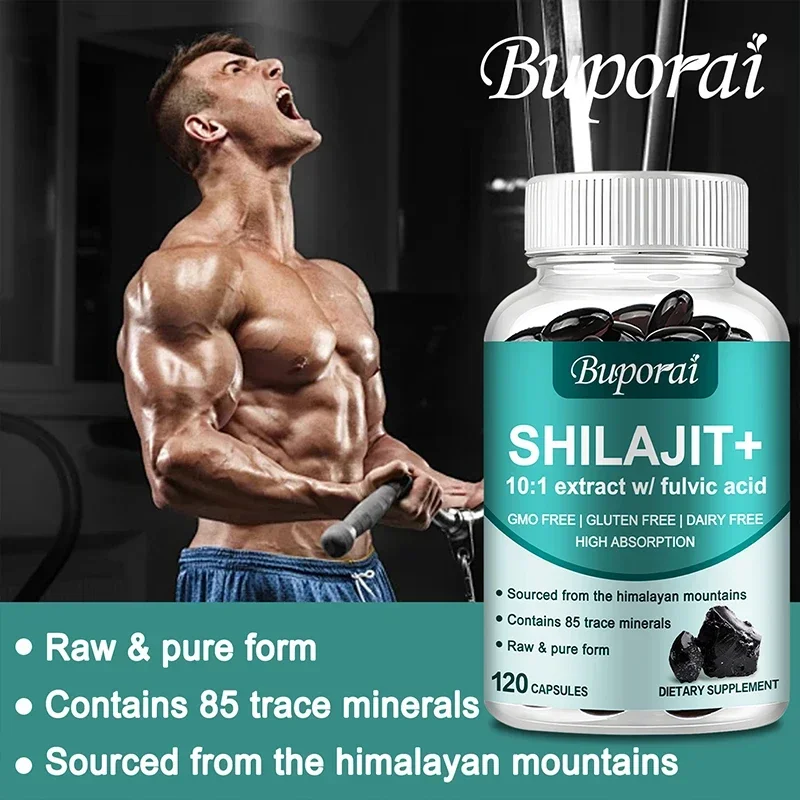 Shilajit - High Potency for Energy Boost & Immune Support, Focus Healthy Care