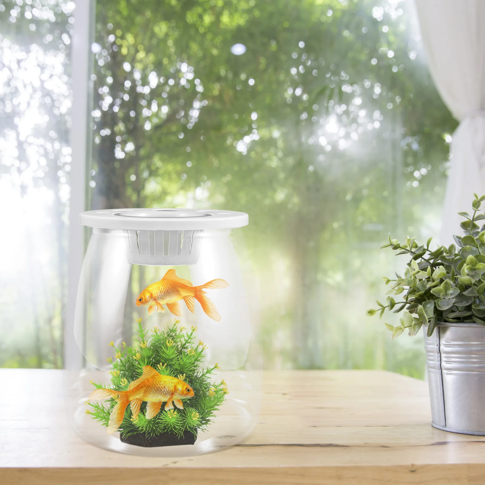 

Transparent Hydroponic Landscape Tank Lightweight Portable Fish Tank for Desktop Small Goldfish Bowl Reusable Plastic Aquarium
