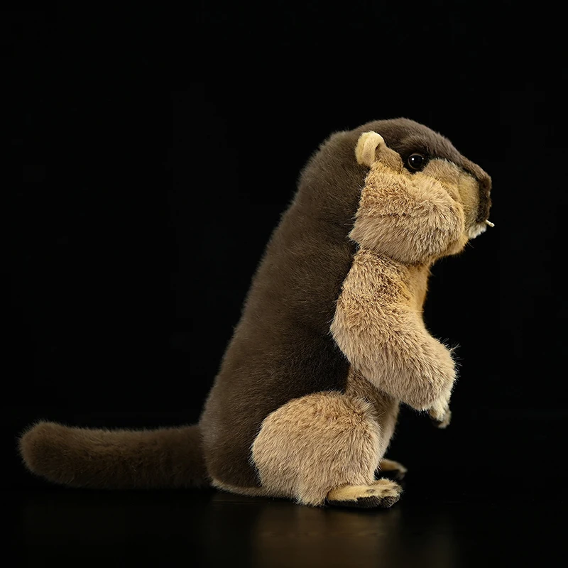 Cute Marmots Plush Toy High-Quality Marmota Realistic Soft Simulation Stuffed Doll Lifelike Animals Model Kid Gift