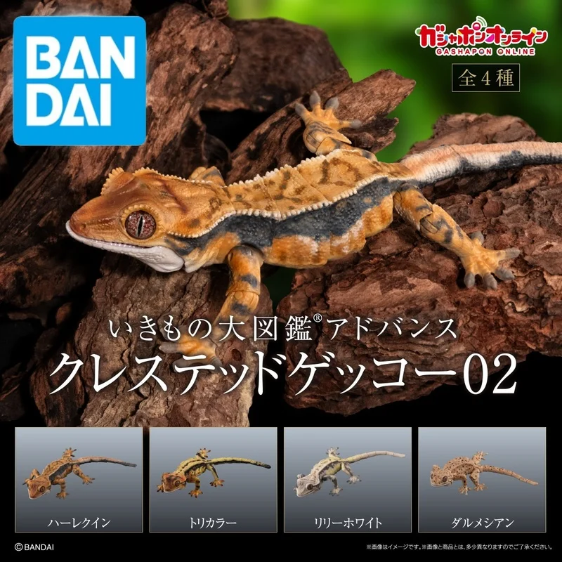 

Original Bandai Gashapon Big Biological Map Gecko Lizard Blue-Tongued Skink Simulation Movable Action Figure Model Toy Gifts