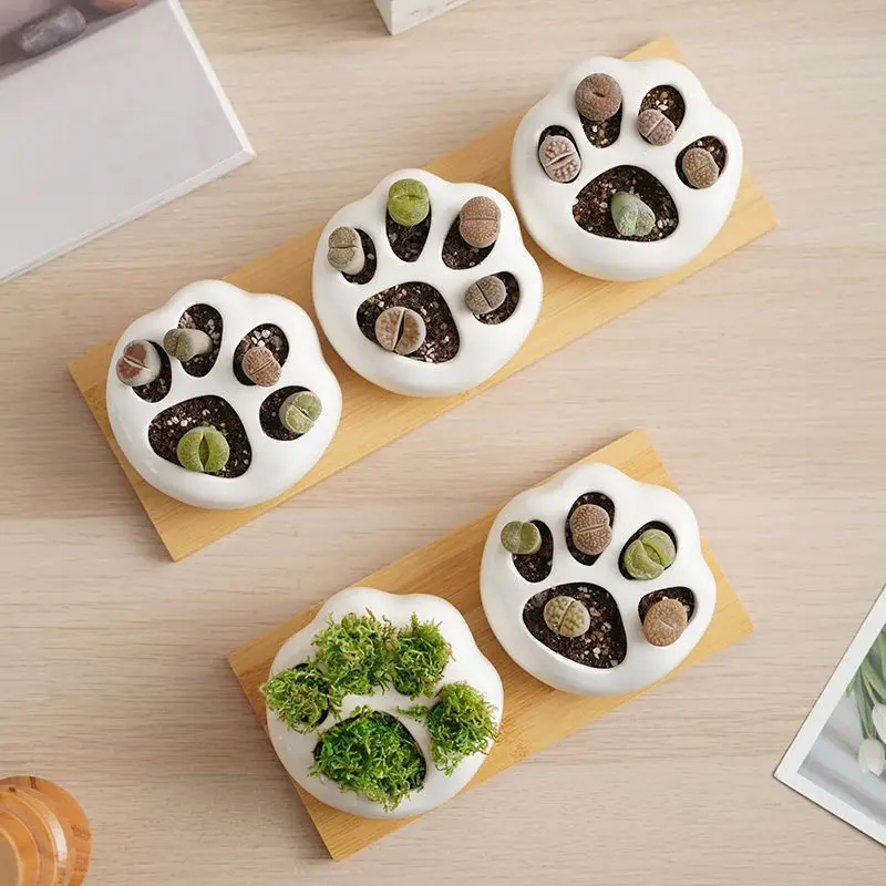 Desktop Creative Flower Rack Succulent Rack Office Living Room Small Flower Display Succulent Flower Rack Small