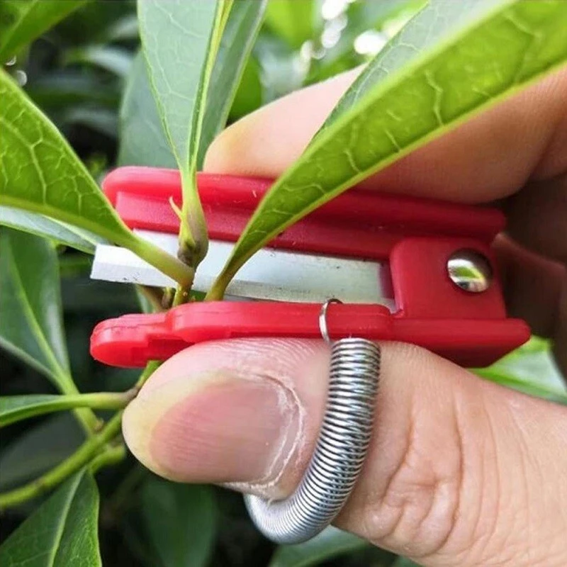 Attrezzo per la raccolta di frutta e verdura Attrezzo per la raccolta di verdure Colpo di coltello Separatore da giardino Raccolta di ghigliottina