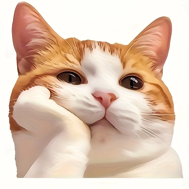 2PC Cute Orange Cat Cheek Support Super Cute Avatar Sticker PVC Wear-resistant Think Cartoon Anime Creative Exterior Accessories