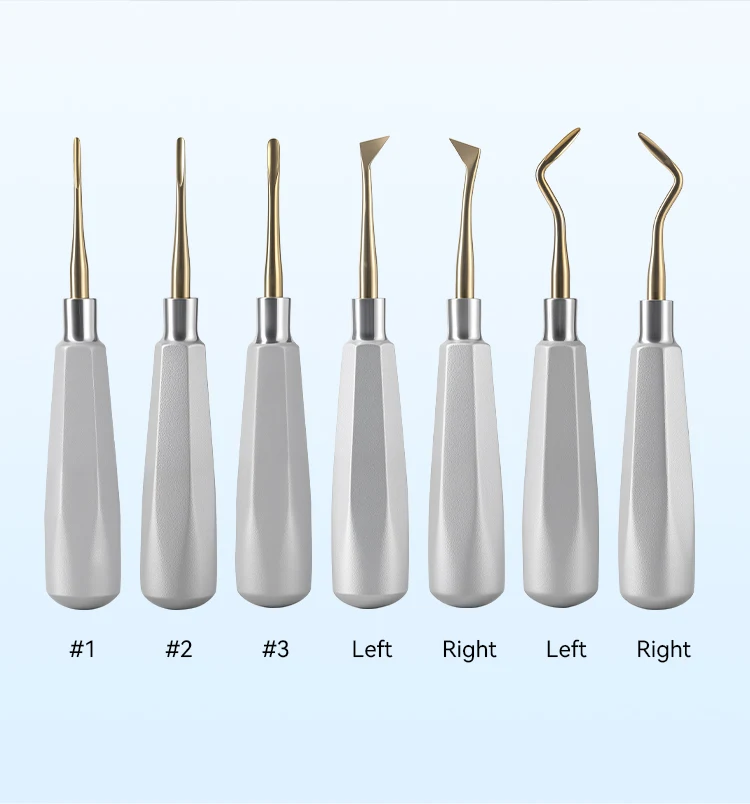 7-teiliges Set AZDENT Dental Zahnheber Chirurgische Zahnextraktionswerkzeuge Gerade und Gebogene Edelstahl-Instrumente für Zahnmedizinlabor – Detail 2