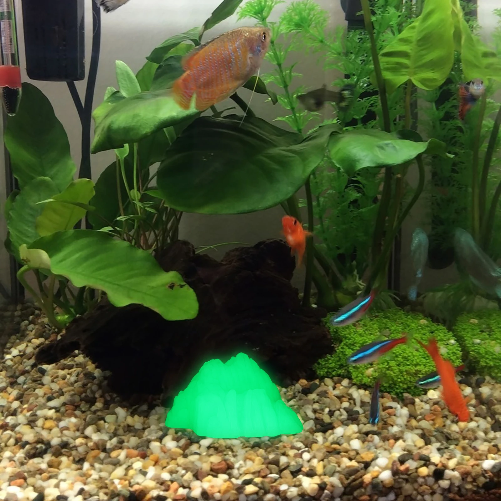 

Fluorescent Rockery L scaping Decor Statue Compact Aquarium Accessory Plastic Vivid Night Tank Decor Realistic Pet