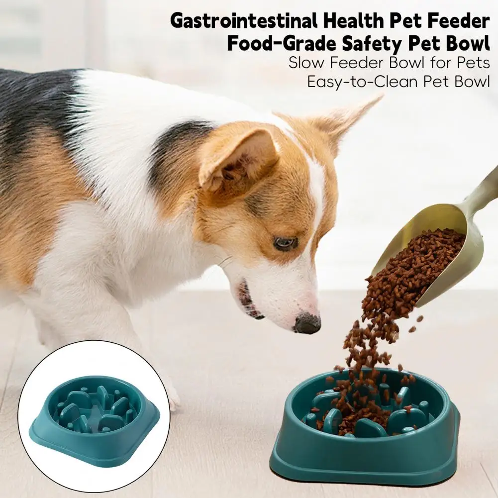 Slow Feeder Bowl Anti-Slip Dog Slow Eating Bowl Anti-Choking Puzzle Feeder Maze Pet Feeder Dog Food Bowl for Dogs