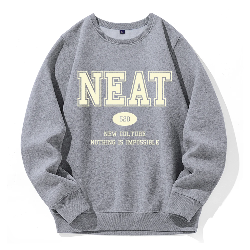 

Neat 520 New Culture Hip Hop Letter Men'S Sweatshirt Oversized Loose Hooded Sport Street Hooded Shirt Fashion Novelty Tracksuit