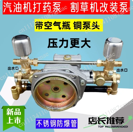 Brass Sprayer Pump Head with Grease Cup for 2-4 Stroke Engine, Agricultural Knapsack Power Sprayer Pump Standard