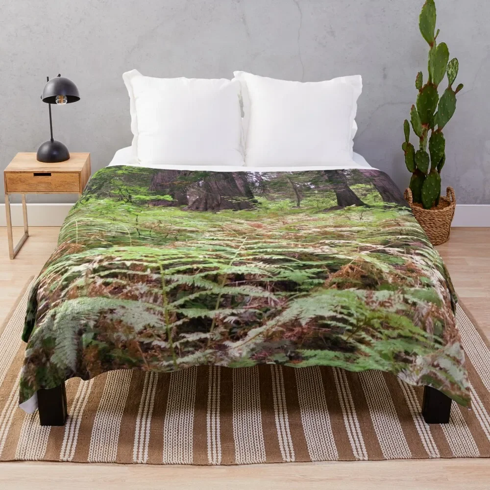 Northwest forest with trees and ferns Throw Blanket Thin Cute anime Blankets