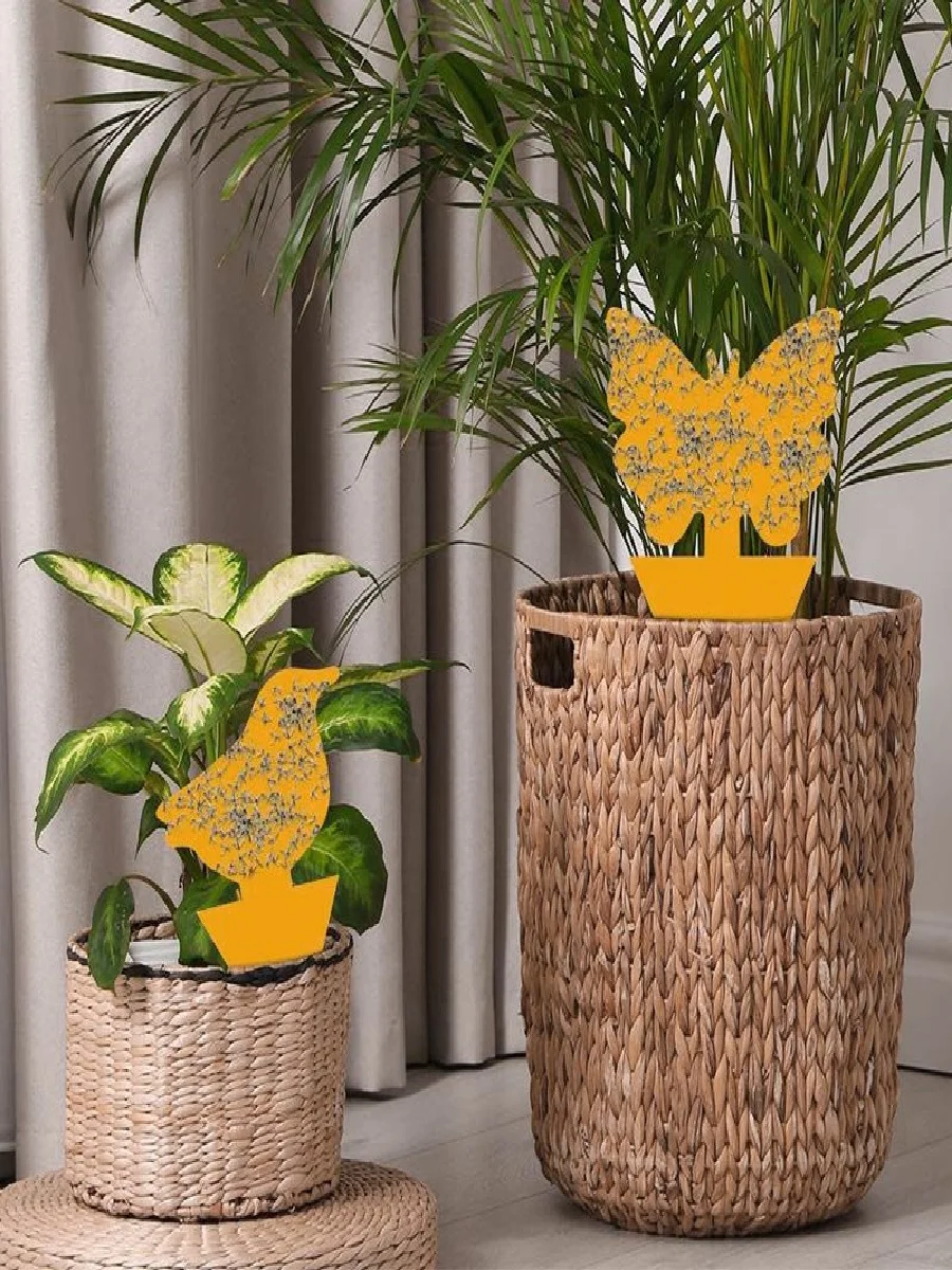 Landisun Fruitvliegenvallen Schimmel Muggenvallen voor Binnen-Buiten Geel Fruit-Fly Sticky-Trap Planten Flying Bug Insectenvallen - afbeelding 2