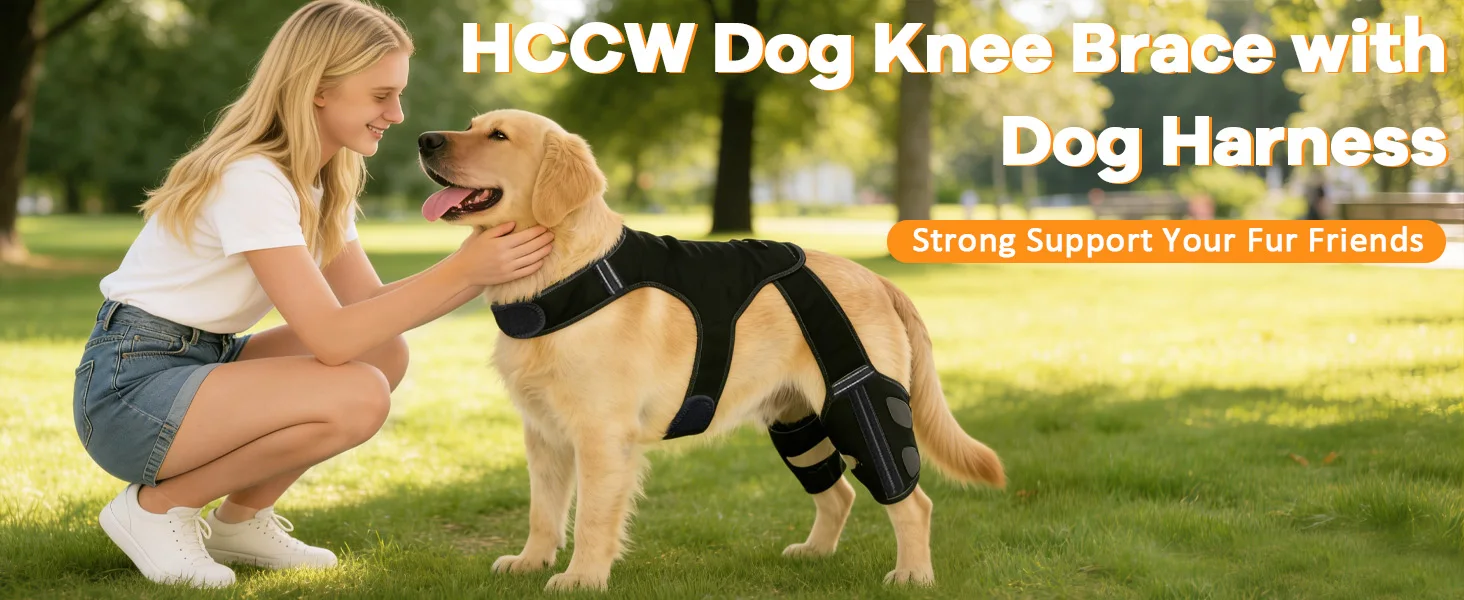 dog knee brace,dog hip brace,dog acl brace,dog leg support,dog knee braces for back leg